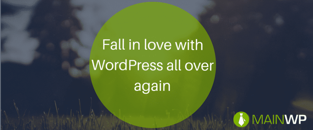 February Roundup: Fall in love with WordPress all over again