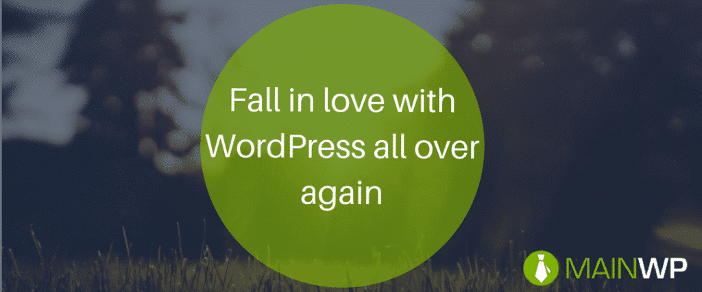 Fall in love with WordPress all over again