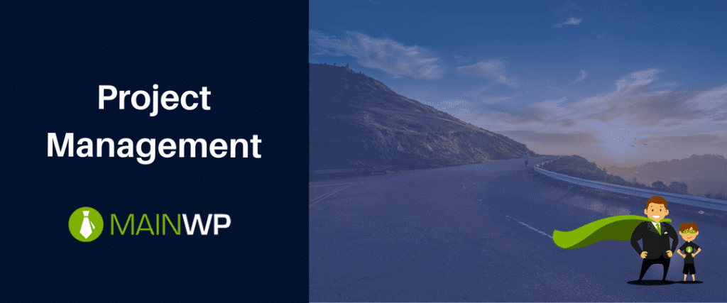 Project management