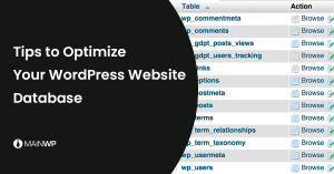 Database Optimization WordPress