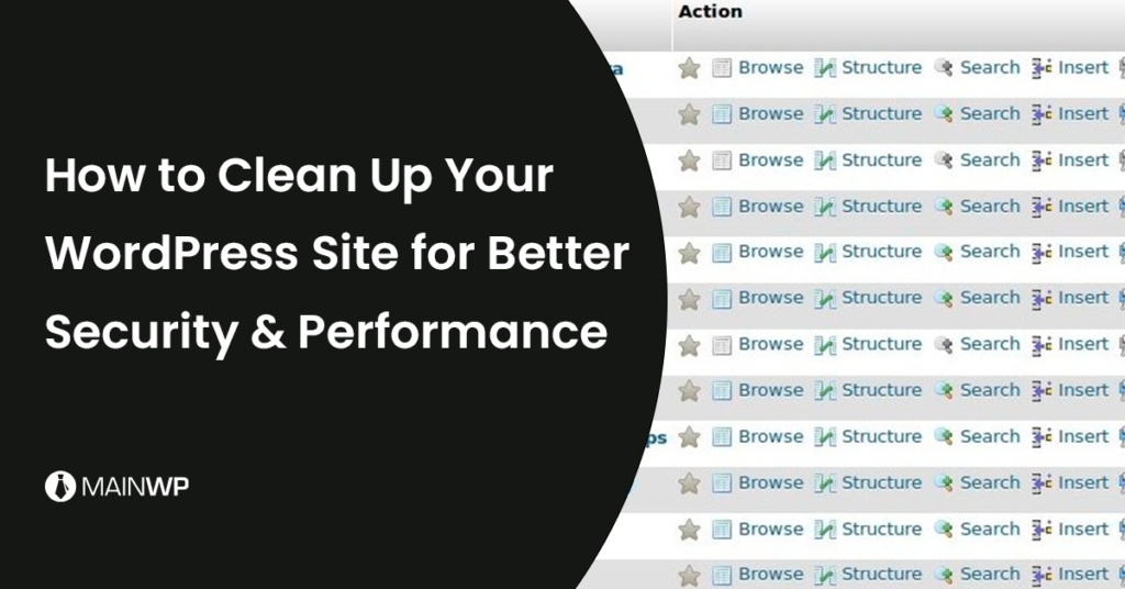 Clean Up WordPress Site