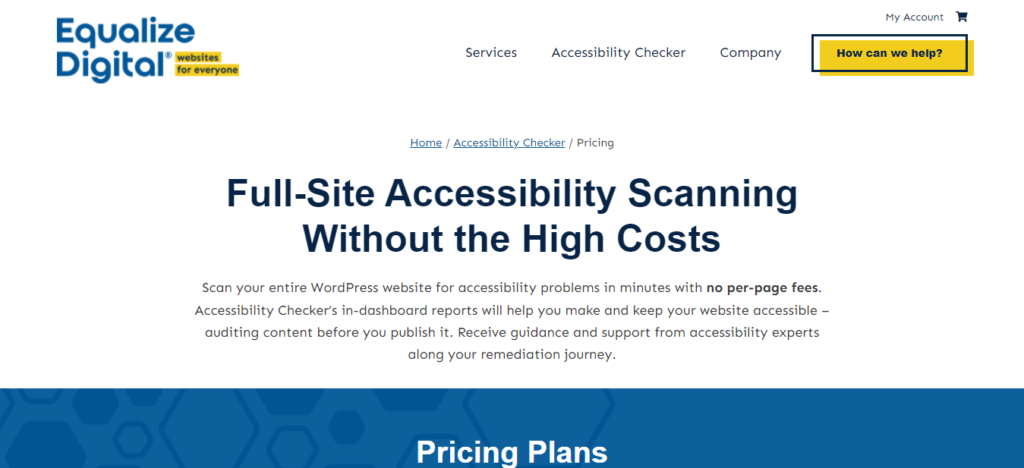 Screenshot: www.equalizedigital.com/accessibility-checker/pricing