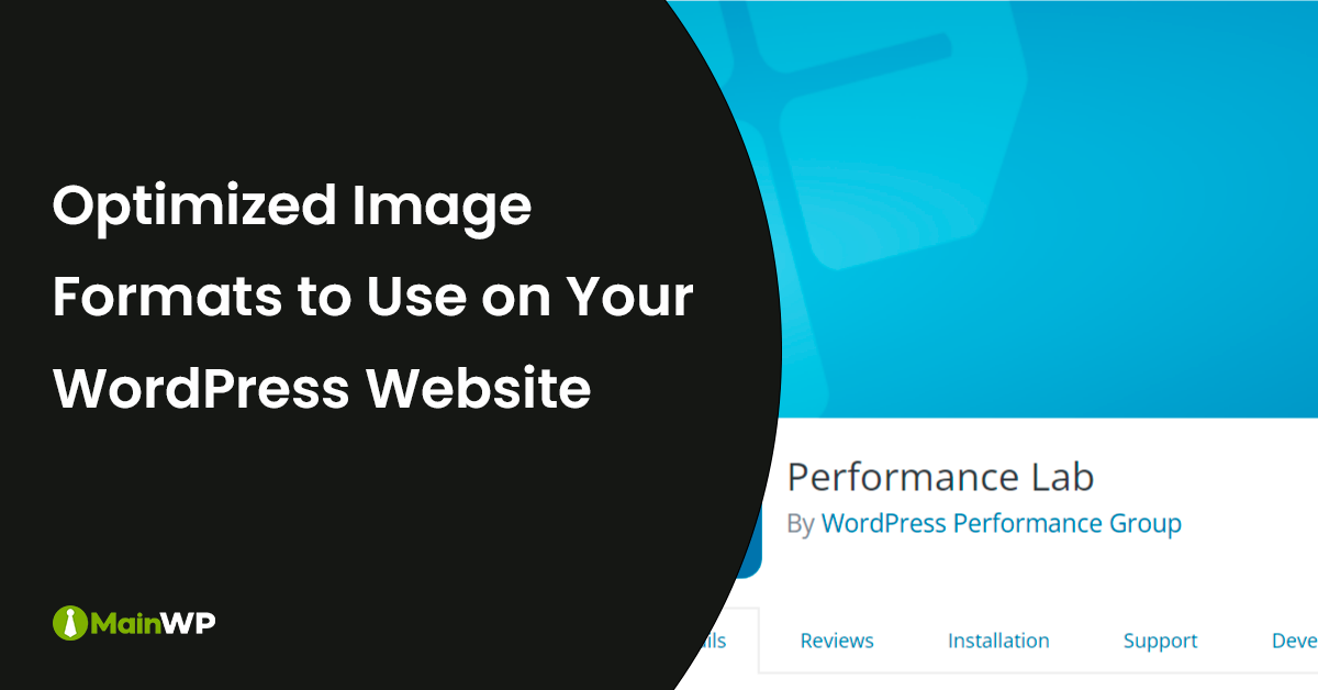 Image Formats for WordPress