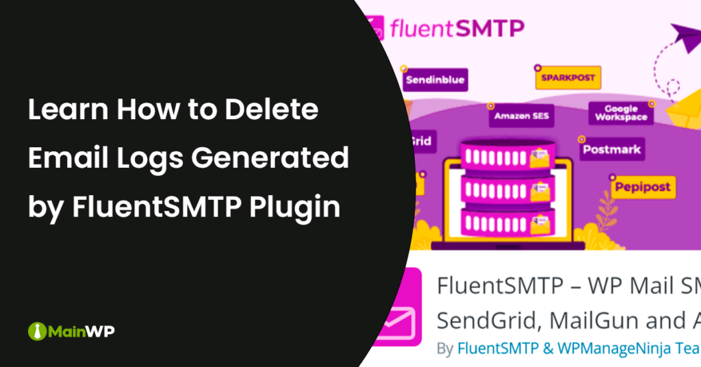 Remove FluentSMTP Email Logs