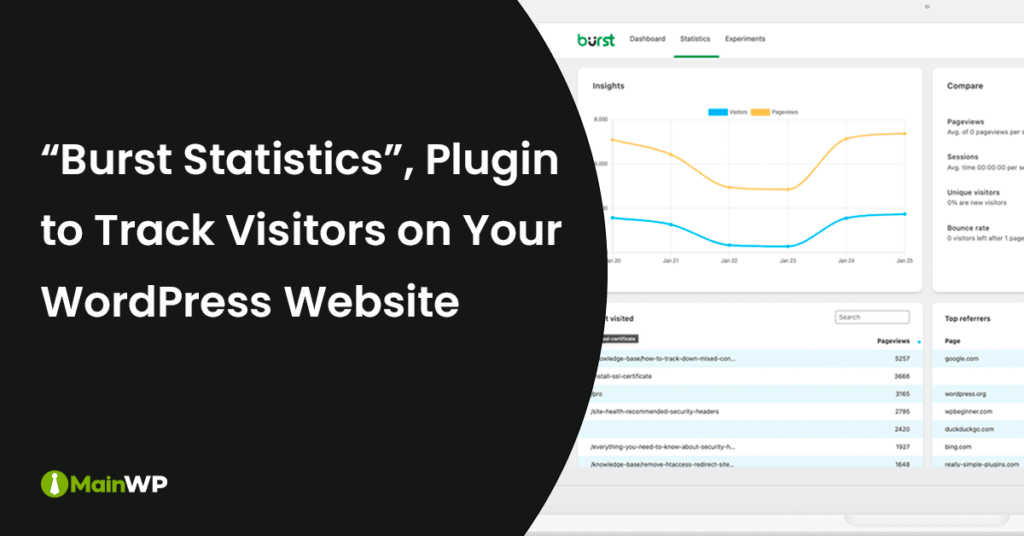 Burst Statistics - WordPress Plugin