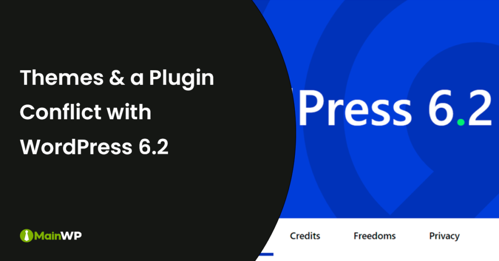 Themeco and All in One SEO Conflict with WordPress 6.2