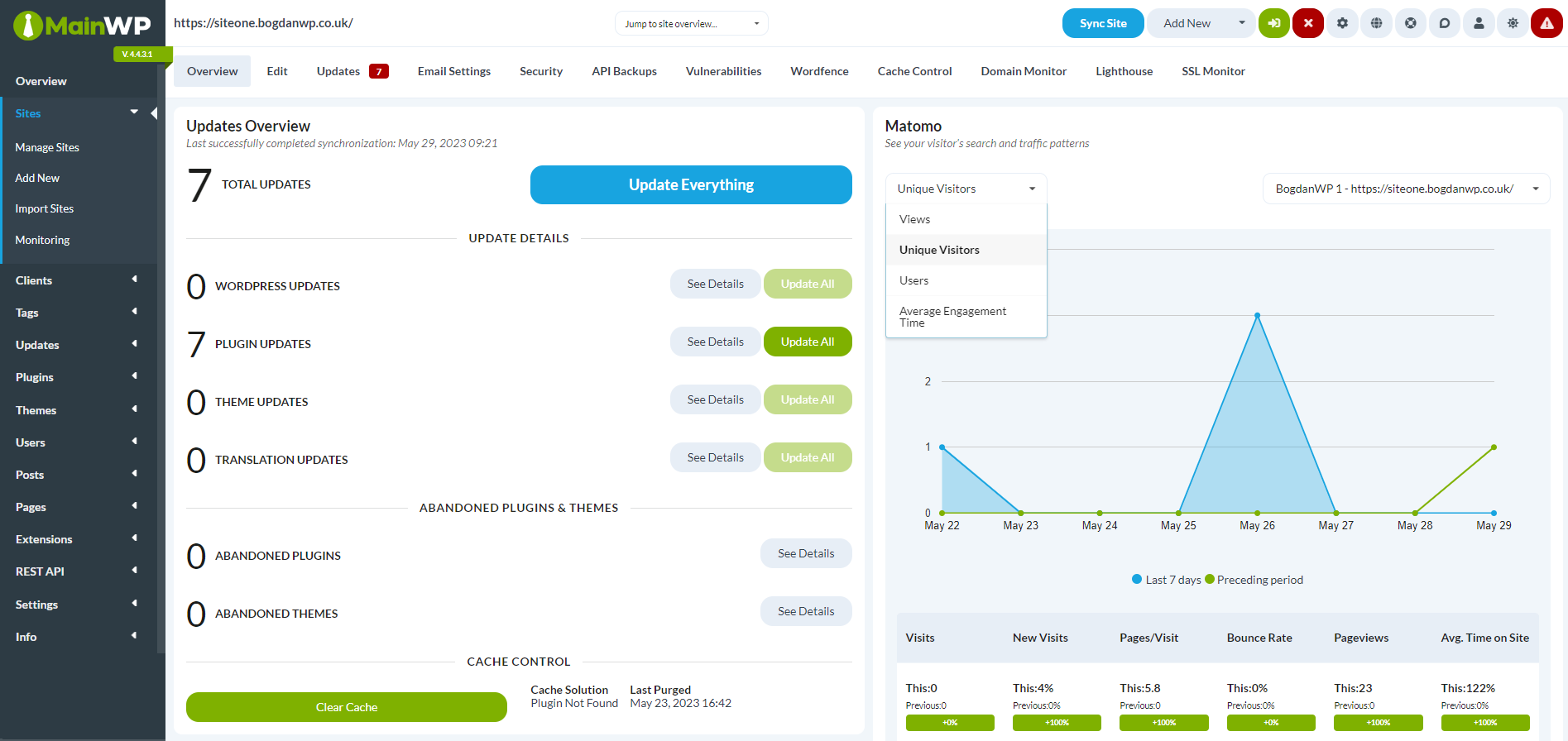 Matomo Widget Individual Child Site