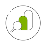 Google Search Console Integration